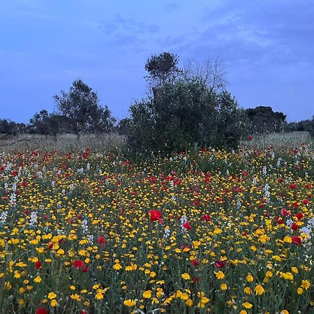Agriturismo Villa Coluccia Martano Luaran gambar