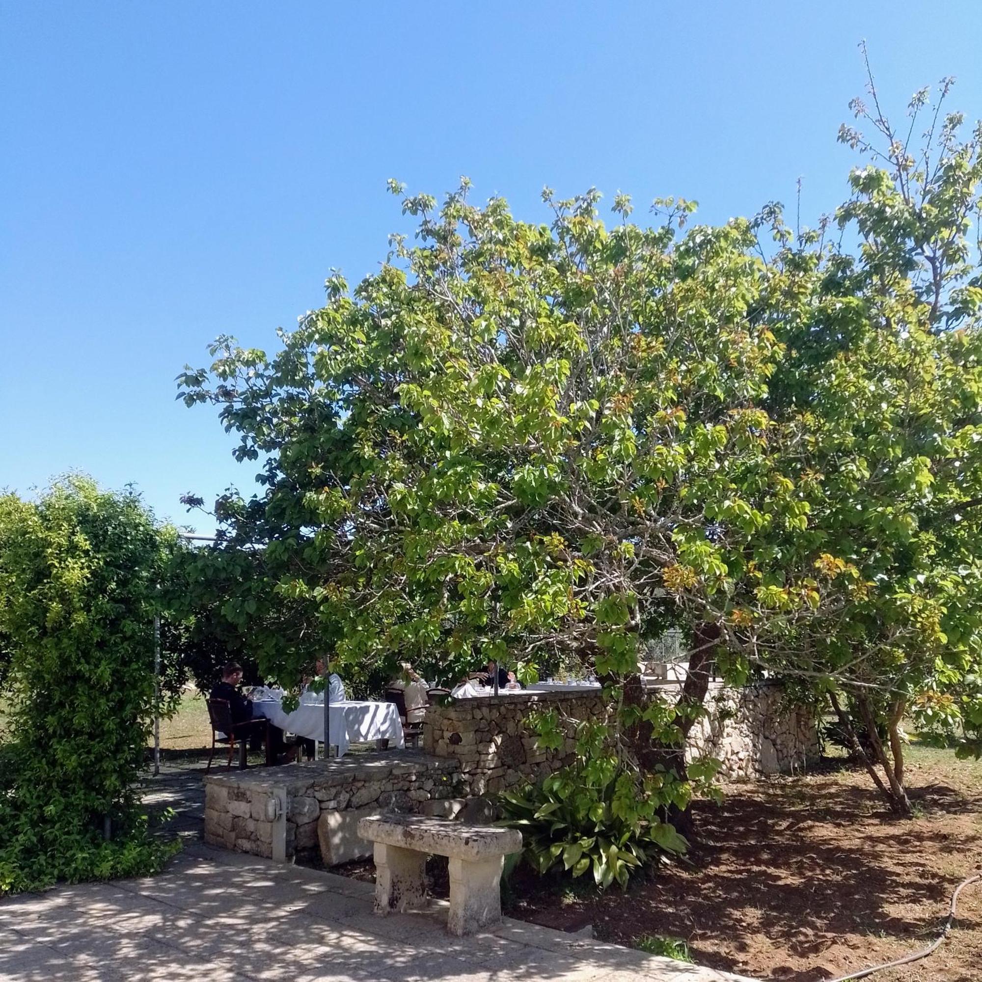 Agriturismo Villa Coluccia Martano Luaran gambar