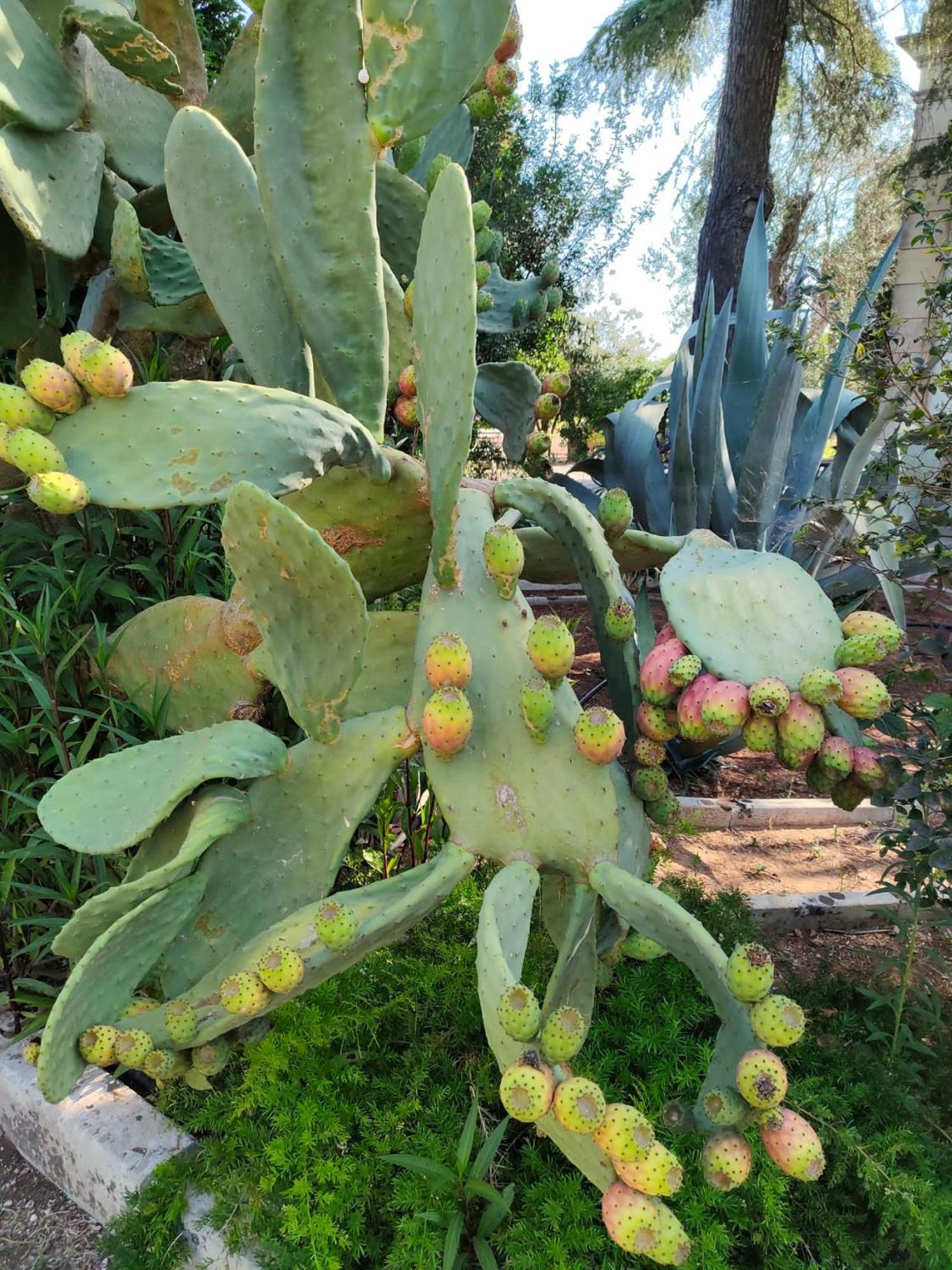 Agriturismo Villa Coluccia Martano Luaran gambar