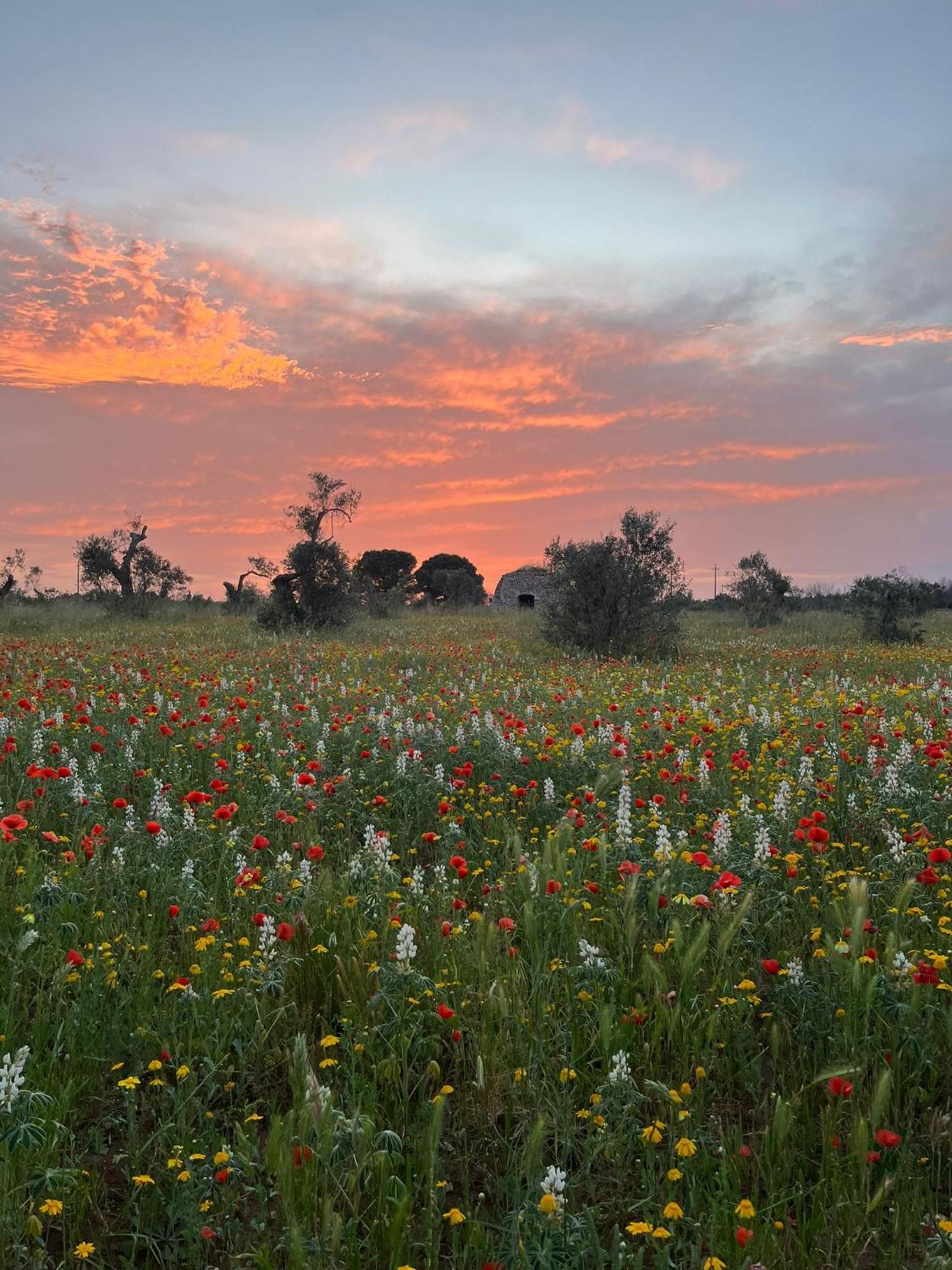 Agriturismo Villa Coluccia Martano Luaran gambar